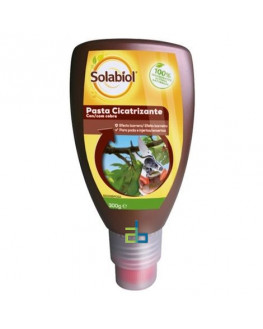 PASTA CICATRIZANTE 300 GR.