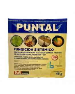 PUNTAL JED 45 GR