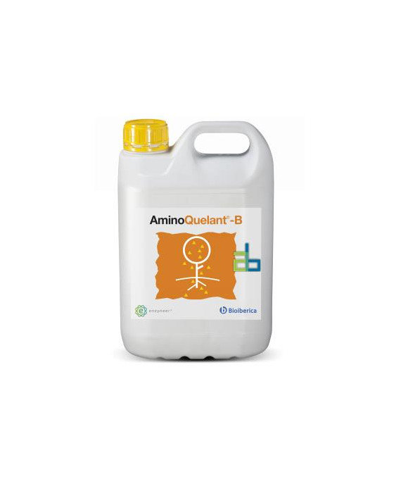 AMINOQUELANT-B  5 L