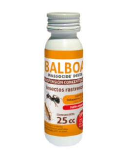 BALBOA 25CC JED MASSO