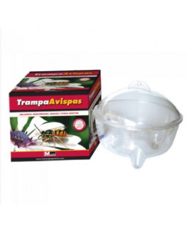 TRAMPA AVISPAS MASSO