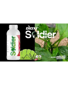 DIOXI SOLDIER 1 LITRO