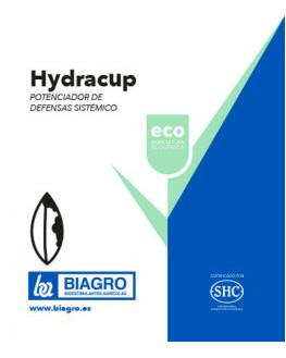 HYDRACUP 1 LITRO