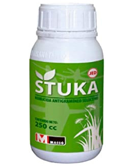STUKA JED 250 CC