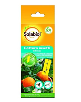 PLACA FEROMONA CITRICOS 1...