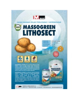 MASSOGREEN LITHOSECT 1 KILO