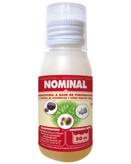 NOMINAL 50CC JED
