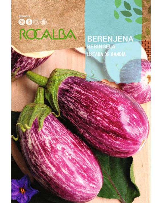 ROCA BERENJENA LISTADA DE GANDIA...