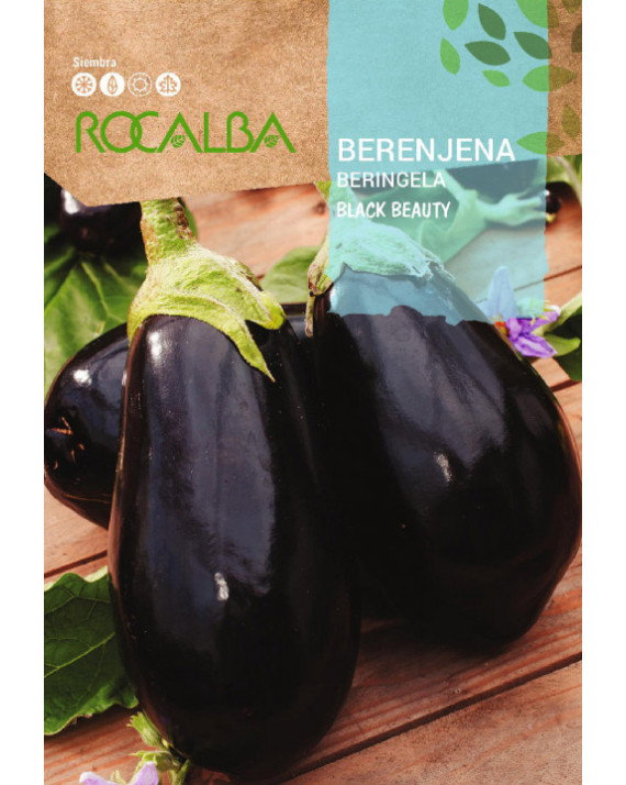 ROCA BERENJENA BLACK BEAUTY SHBN0127