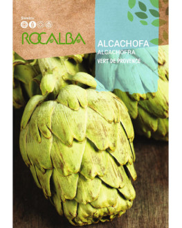 ROCA ALCACHOFA VERT DE...