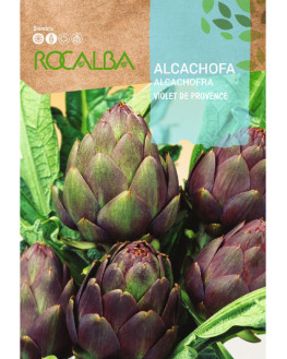 ROCA ALCACHOFA VIOLET DE...