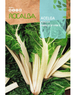 ROCA ACELGA AMARILLA DE...