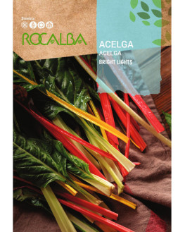 ROCA ACELGA BRIGHT LIGHTS...