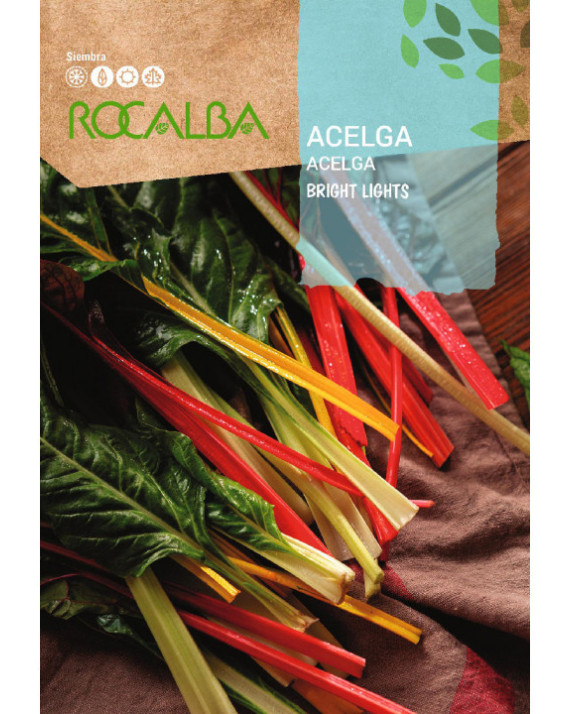 ROCA ACELGA BRIGHT LIGHTS SHBN0017