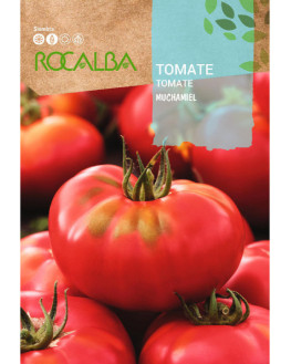 ROCA TOMATE MUCHAMIEL SHBN1455