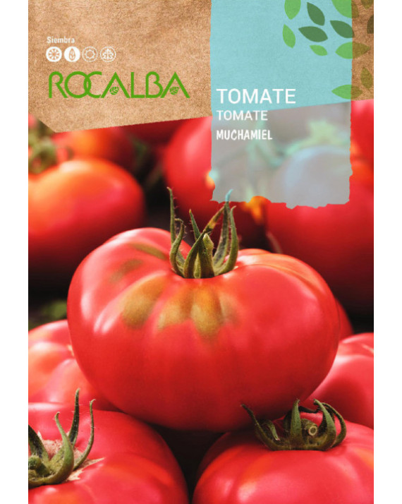 ROCA TOMATE MUCHAMIEL SHBN1455