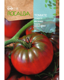 ROCA TOMATE MUCHAMIEL...