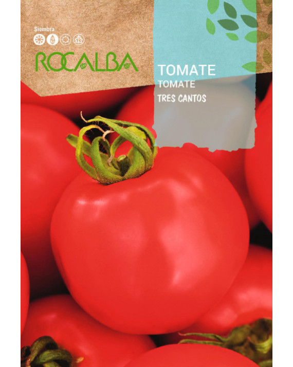 ROCA TOMATE TRES CANTOS SHBN1500