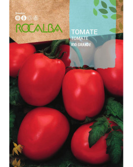 ROCA TOMATE RIO GRANDE...