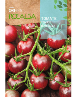 ROCA TOMATE BLACK CHERRY...