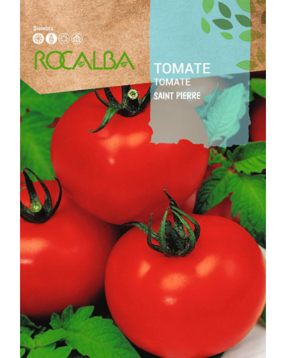 ROCA TOMATE SAINT PIERRE SHBN1440