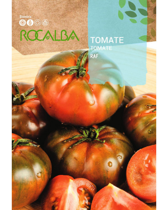 ROCA TOMATE RAF SHBN1437