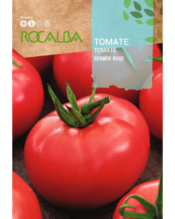 ROCA TOMATE BERNER ROSE SHBN1467