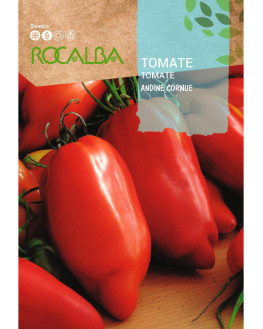 ROCA TOMATE ANDINE CORNUE...