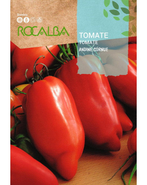 ROCA TOMATE ANDINE CORNUE SHBN1472