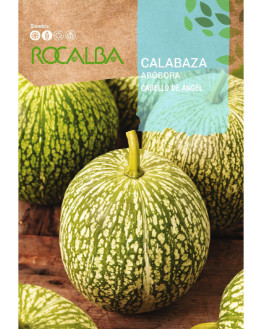 ROCA CALABAZA CABELLO DE...