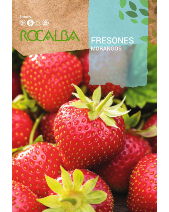 ROCA FRESONES SHBN0775