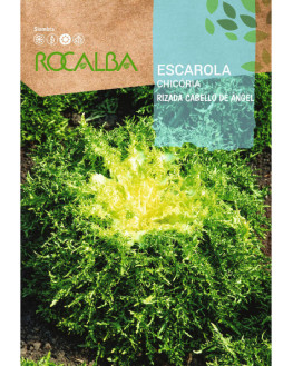 ROCA ESCAROLA RIZADA...