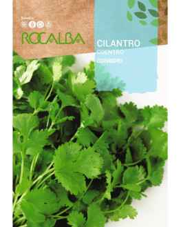 ROCA CILANTRO (CORIANDRO)...