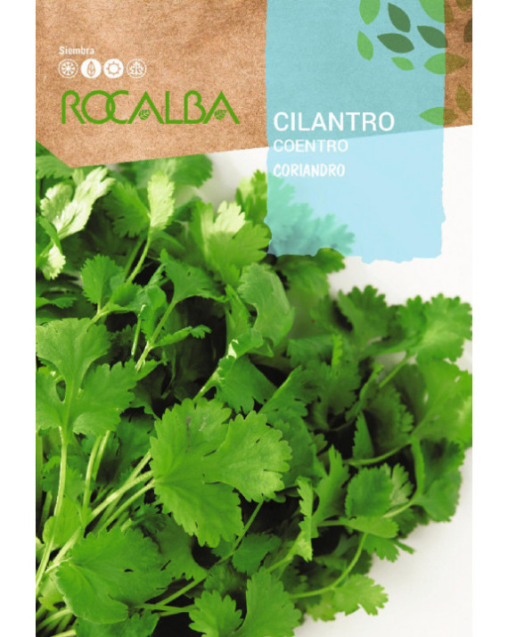 ROCA CILANTRO (CORIANDRO) 10 GMS...