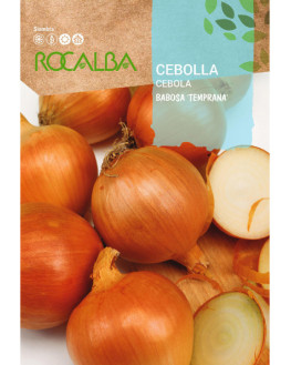 ROCA CEBOLLA BABOSA...