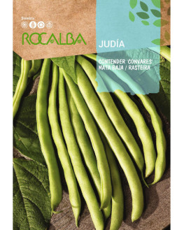 ROCA JUDIA CONTENDER RAZA...