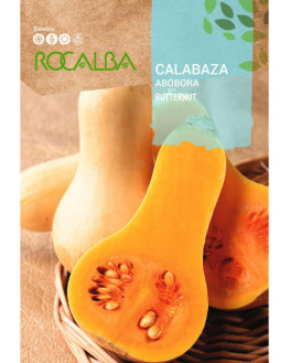 ROCA CALABAZA BUTTERNUT...