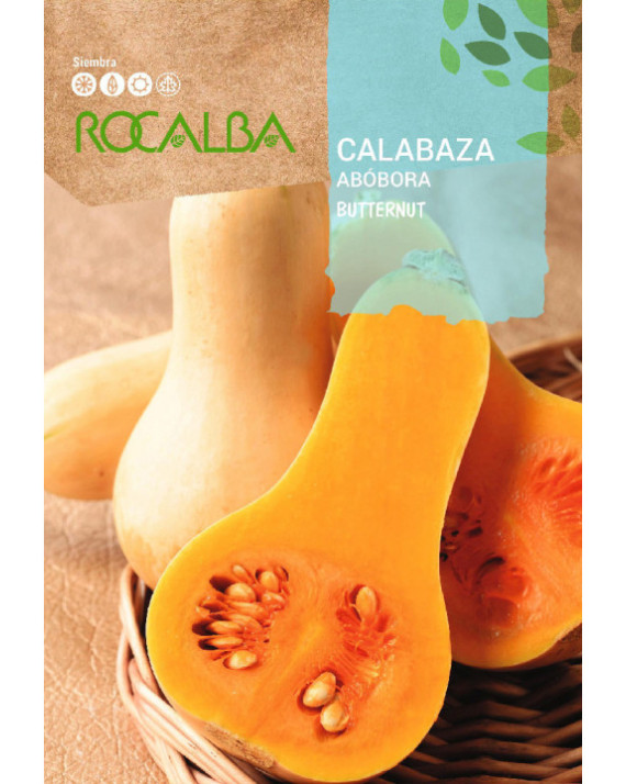 ROCA CALABAZA BUTTERNUT SHBN1590