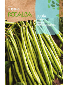 ROCA JUDIA BRAIMAR  SHBN4197