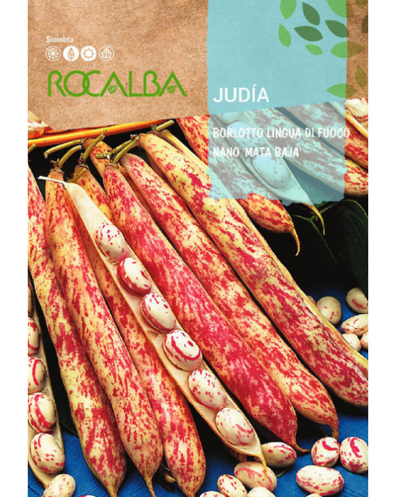 ROCA JUDIA BORLOTTO LINGUA DI FUOCO...