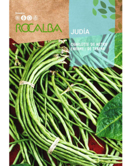 ROCA JUDIA CHARLOTTE  SHBN4195