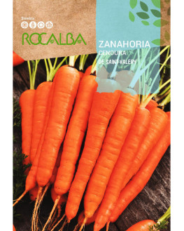 ROCA ZANAHORIA DE...