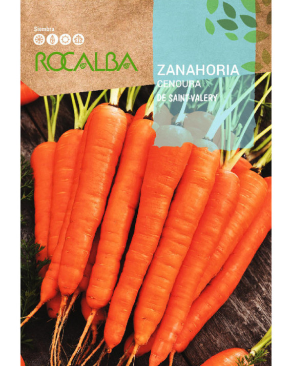 ROCA ZANAHORIA DE SAINT-VALERY SHBN1540