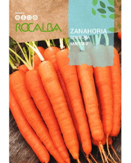 ROCA ZANAHORIA NANTESA 2...