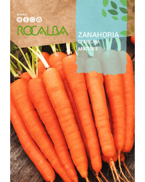 ROCA ZANAHORIA NANTESA 2 TORO  SHBN1560