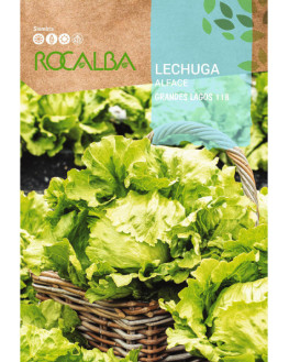 ROCA LECHUGA GRANDES LAGOS...