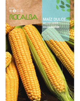 ROCA MAIZ DULCE GOLDEN...