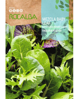 ROCA MEZCLA BABY LEAF-...