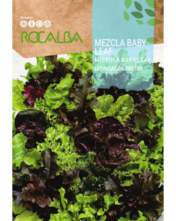 ROCA MEZCLA BABY LEAF - LECHUGAS...