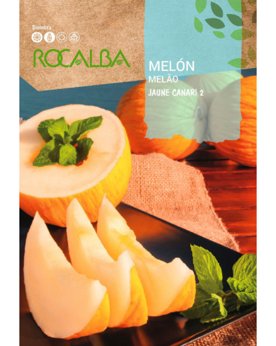 ROCA MELON JAUNE CANARI 3  SHBN0950